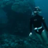 Carcasa submarina protectora GoPro para cámaras HERO