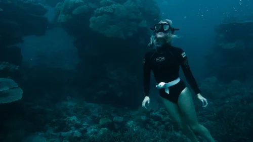 Carcasa submarina protectora GoPro para cámaras HERO